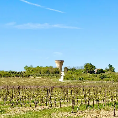 Les Vignes - 7 Personnes Sur Saint-Chaptes
